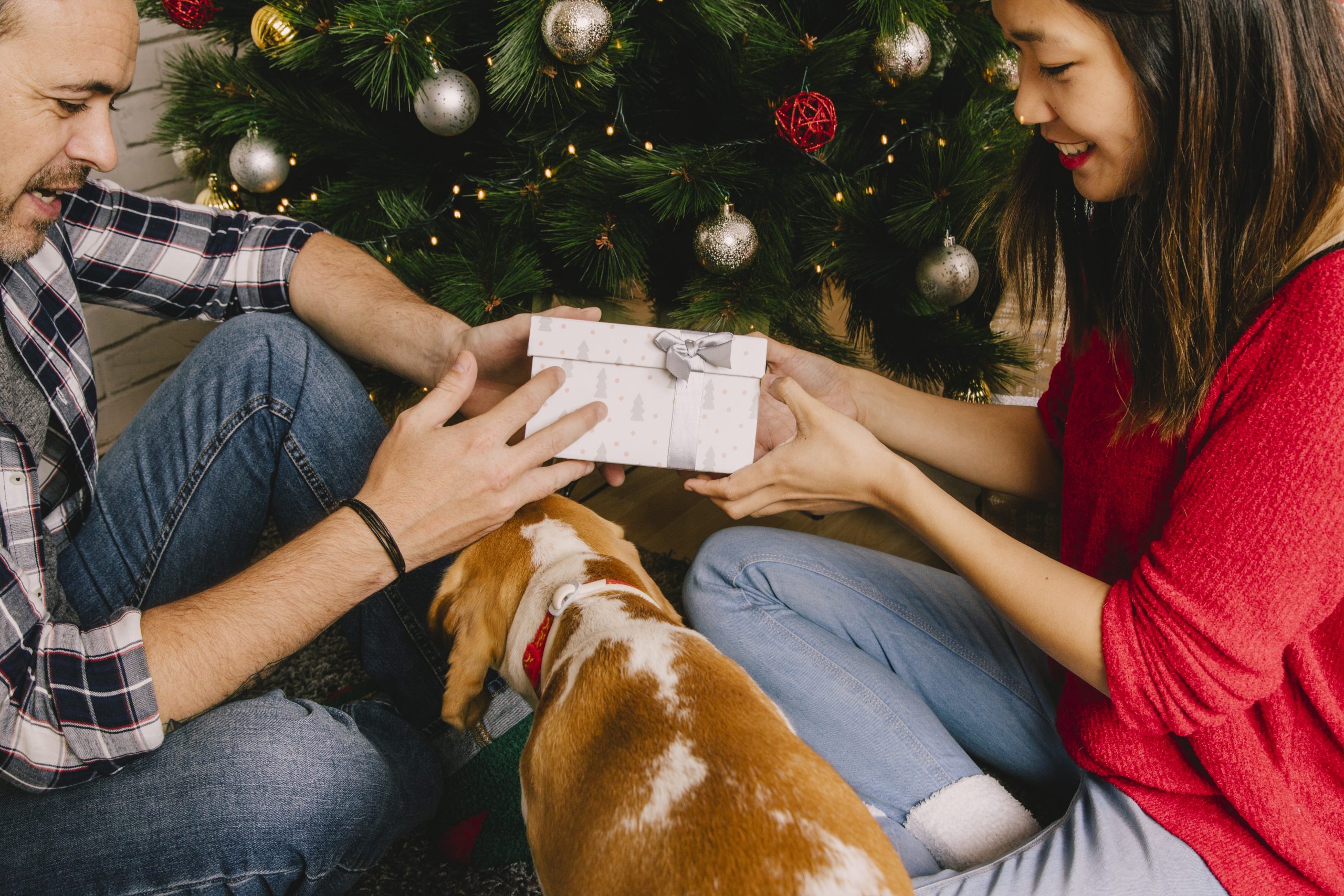 Ofertas Navidad mascotas