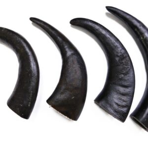 VIP Snack Cuerno de Búfalo 12-15 cm